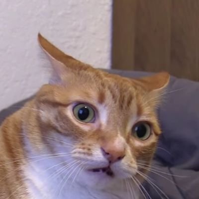Reeeeeeeeeeeeeeeeeeeeeeeeeeeeeeeeeeeeeeeeeeeeeeeeeeeeeeeeeeeeeeeeeeeeeeeeeeeeeeeeeeeeeeeeeeeeeeeeeeeeeeeeeeeeeeeeeeeeeeeeeeeeeeeeeeeeeeeeeeeeeeeeeeeeeeeeeeeeeee