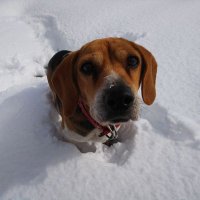 はるき (@haruki_t_leo) Twitter profile photo