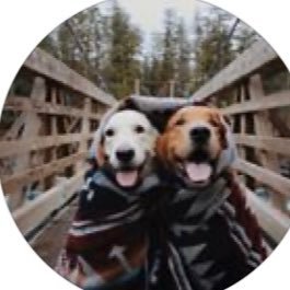 kocoglu_basak's profile picture. instagram: melbaskoc