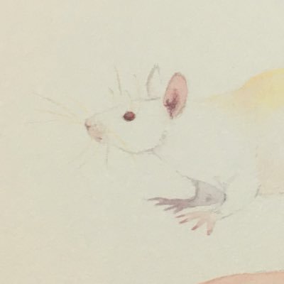 おじゃこ
