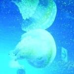 ヘキ (@heki_nonbiri) 's Twitter Profile Photo ヘキ (@heki_nonbiri) 's Twitter Profile Photo