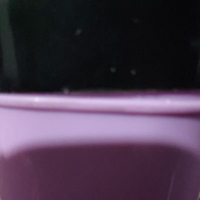 congleij's profile picture. book