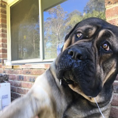 don36406156's profile picture. 