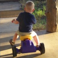 Dawson Wingfield (@ranger1633) 's Twitter Profile