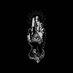 AeSect (@aesect) Twitter profile photo AeSect (@aesect) Twitter profile photo