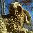 jkmeggs's profile image