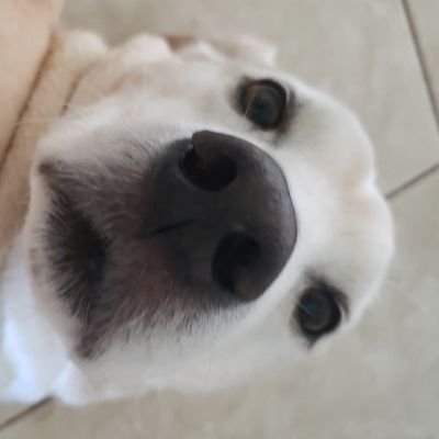 kennet_13's profile picture. 