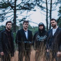 B E A R (@bearpropaganda) 's Twitter Profile
