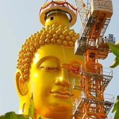 sankettribhuva3's profile picture. ok