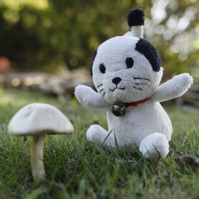 Mageo 今朝のおさんぽ 魚眼レンズで魚眼犬で変な顔 帰りに空を見上げたら7本の飛行機曇が 山口県のイベントで出動してたブルーインパルスが帰るところだったみたい 青空に映えてカッコいい 柴犬 りんさんぽ 切株ジョシーバ