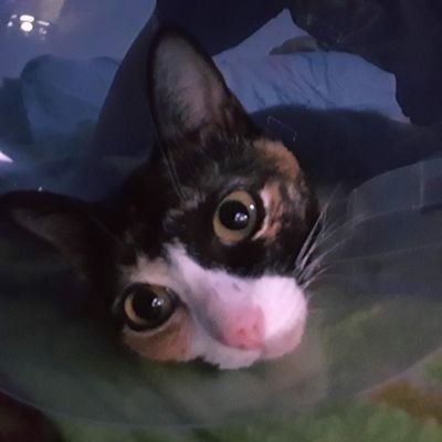 Aikit13's profile picture. ขับรถ