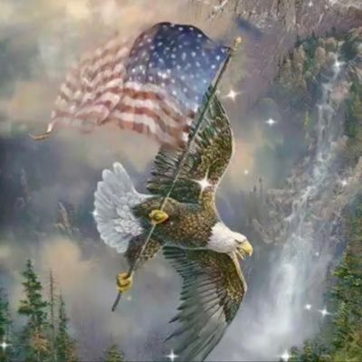 Platinum Patriot🇺🇸