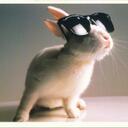 Tim Eng Hung - @the_bunster - Twitter