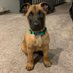 K9 Duke (@apdk9duke) Twitter profile photo K9 Duke (@apdk9duke) Twitter profile photo