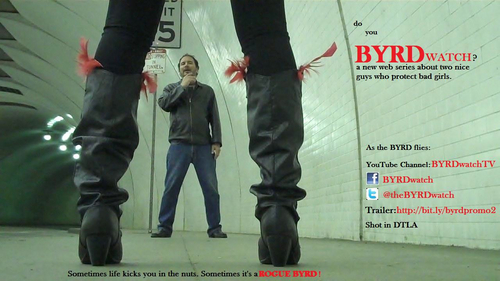 TheBYRDwatch's profile picture. BYRDwatch: A web series about two nice guys who protect bad girls. BYRDwatch at: http://t.co/EaWj7lnAgl