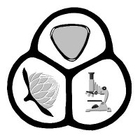 Mandela Uni's Palaeolab (@the_palaeolab) 's Twitter Profile