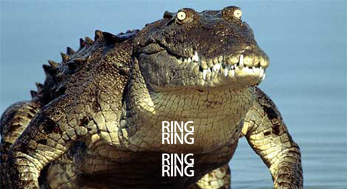 becausze's profile picture. 