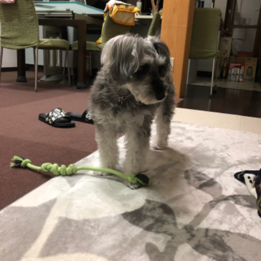 RelaxPot's profile picture. 