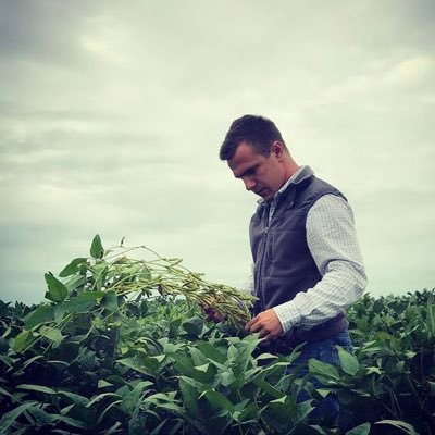 santipanart's profile picture. Ingeniero Agrónomo