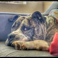 seasoned, sorta salty (@spry_ann) 's Twitter Profile