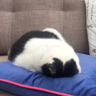 kgrand_44's profile picture. 