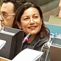 Ana Coelho🎗🕊🇪🇺(@AnaCoelhoBXL) 's Twitter Profile Photo