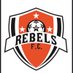 Rebels FC (@mirebelsfc) Twitter profile photo