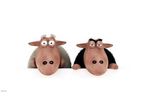 Ruosili's profile picture. 