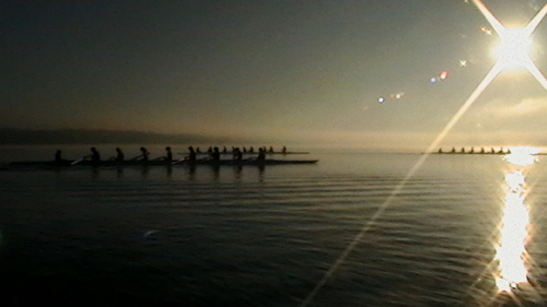 University of Florida's womens rowing team updates