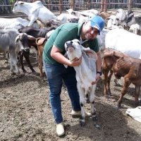 David Noriega (@davidnoriega24) 's Twitter Profile