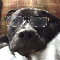 Hypophrygian (@hypophrygian) 's Twitter Profile
