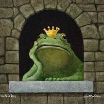 frognnes's profile picture. bojler