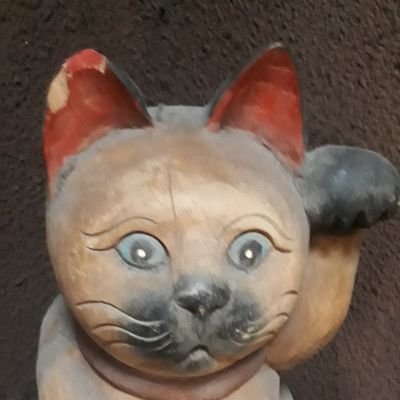 HIRATAKoji1's profile picture. 