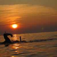 정의를 위하여100🍊🍊 (@myzerori) 's Twitter Profile