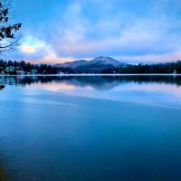 Deanna G (@deanna_gold1) 's Twitter Profile Photo