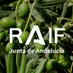 RAIF_noticias (@RAIF_noticias) Twitter profile photo