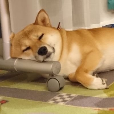 JiroSuzuki8's profile picture. 愛知県在住。2019年iRacingはじめました、MX-5楽しいですね(ﾟωﾟ)。夜に弱い寝落ちレーサーですが、いっしょに楽しく走りましょー
Hi,I'm Jiro from Japan. I have started iRacing since 2019.