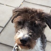 David Patch (@davidpatch1) 's Twitter Profile