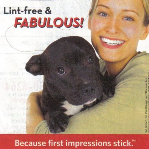 EKosarzycki's profile picture. 