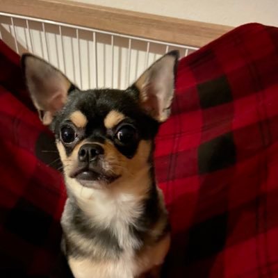 wbU7qezunkmwx4W's profile picture. 映画やドラマ、舞台など、出会うことができた作品などの感想などを呟こうと思います。無言申請失礼します。