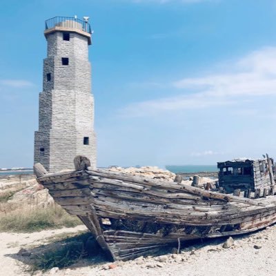 daobidao1's profile picture. 