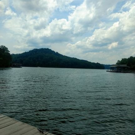 MaryLue48444823's profile picture. 