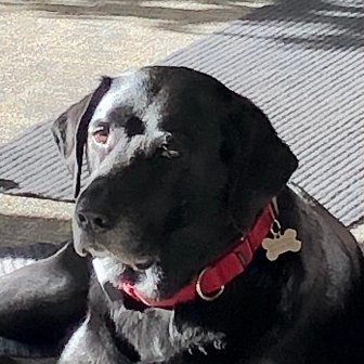 JPDOD's profile picture. Optometric golfer and bowler with a great wife and kids.