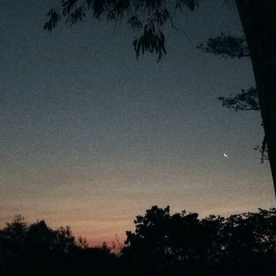 PhotoRotte's profile picture. Novice Photographer
amante de las arañas
Guerrero de clase alta🐉