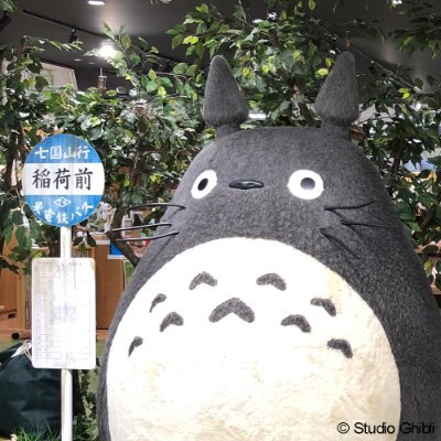 どんぐり共和国 新潟ラブラ万代店 na platformě X: „本日の どんぐり共和国 新潟ラブラ万代店 na platformě X: „本日の