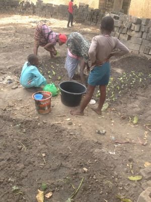 SaikouCham1's profile picture. peace be with everyone 🙏🙏🙏