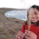 Elissa James - @jameselissa - Twitter