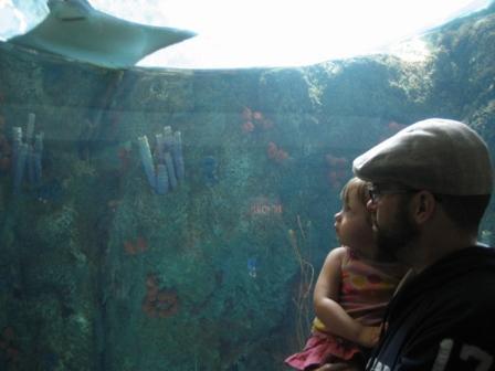 CarlosGShelton's profile picture. 