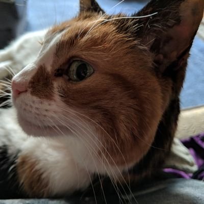 White_Ma1138's profile picture. Just here for the experience