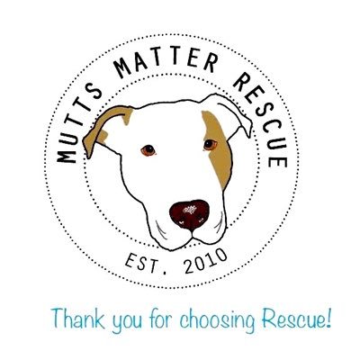 MMR is a 501(c)(3) non profit, all volunteer based dog rescue group in the Washington DC metro area.